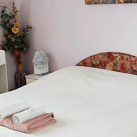 מיצ'יצ'ניו Apartament W Podkowie מראה חיצוני תמונה